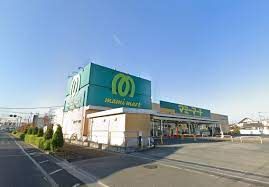 ビッグ・エー 立川富士見町店の画像