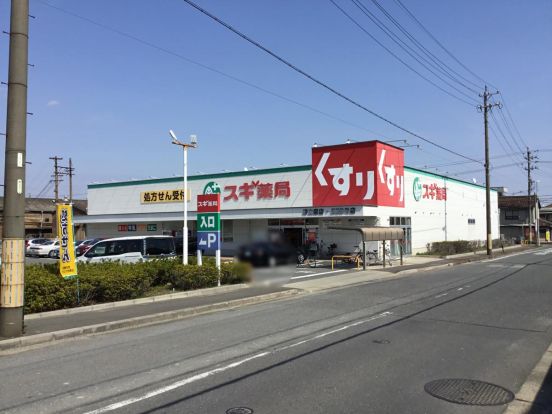 スギドラッグ 野立橋店の画像