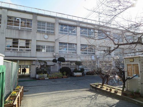 若江小学校の画像
