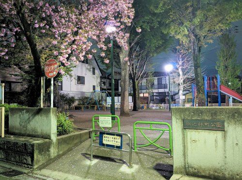 文京区立区立駒込林町公園　(たぬき山公園)の画像