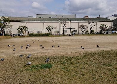 菱江南公園の画像