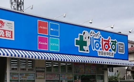 どらっぐぱぱす 世田谷中町店の画像