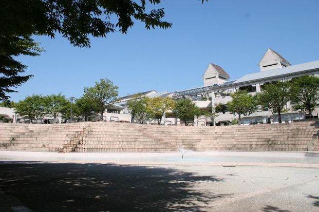 奈良大学 少林寺拳法部の画像