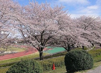 秋留台公園の画像