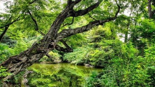 占春園の画像