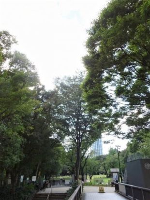 東京中央公園の画像