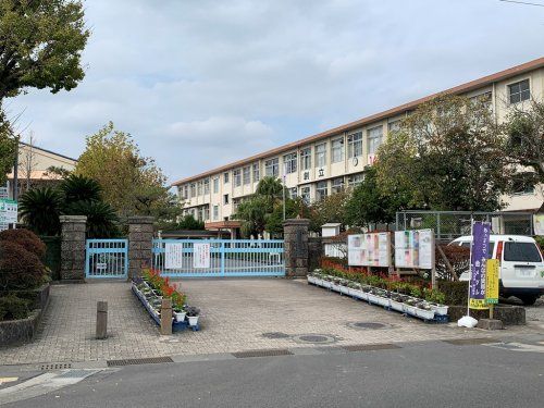 鹿児島市立玉江小学校の画像