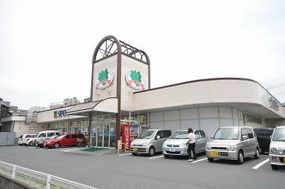 スピナ 枝光店の画像