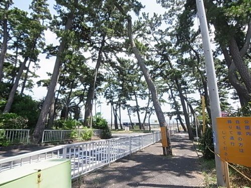 大浜公園の画像