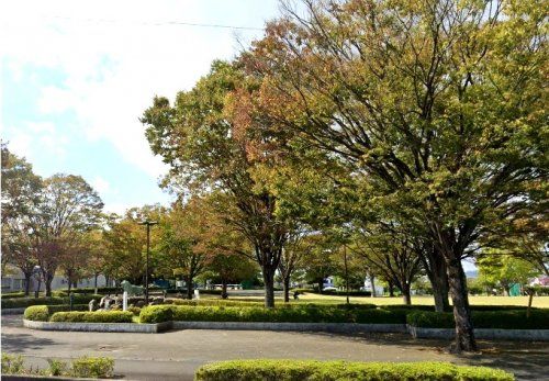 清見田公園の画像