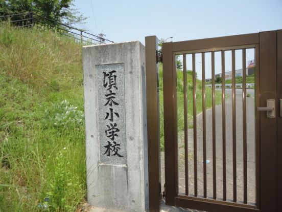 水巻町立頃末小学校の画像