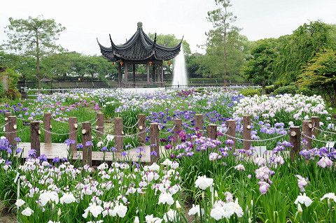 水月公園の画像