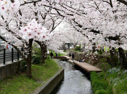 二ヶ領用水宿河原取水口の画像