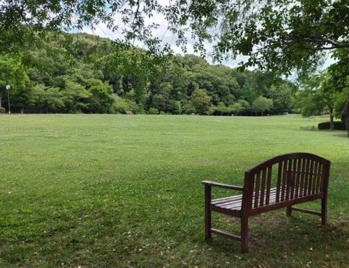 中央公園 噴水広場の画像