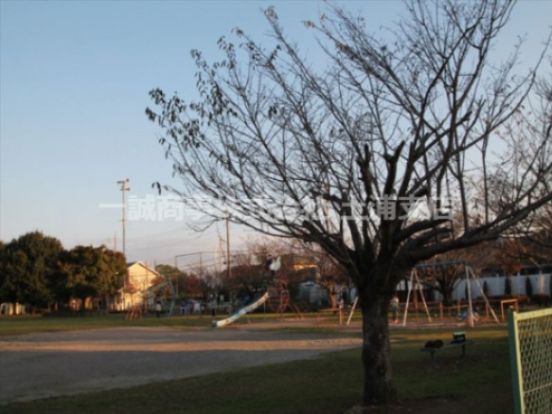 木田余中央公園の画像