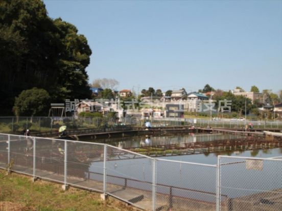 水と緑の里公園の画像