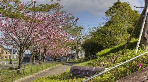 貝原塚東公園の画像