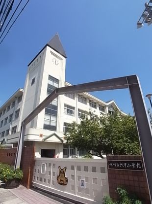 神戸市立六甲小学校の画像