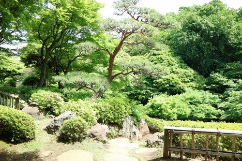 池田山公園の画像