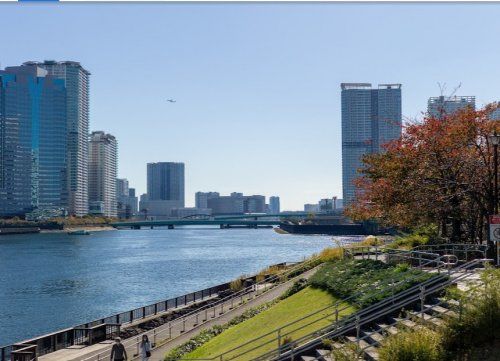 中の島公園の画像