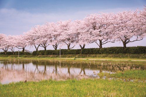 中井沼公園の画像