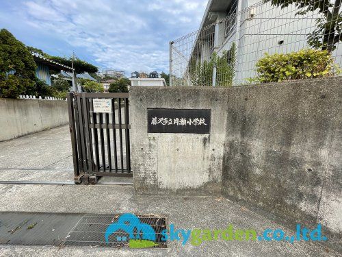 藤沢市立片瀬小学校の画像