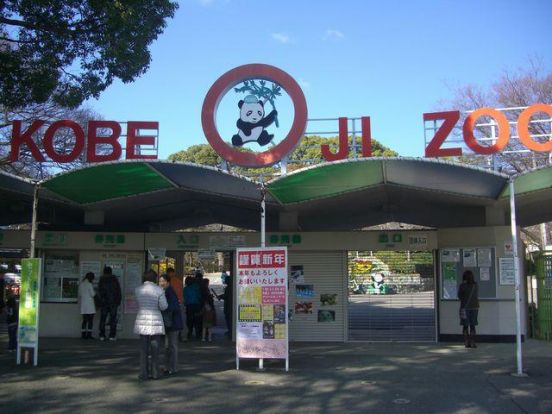 王子動物園の画像