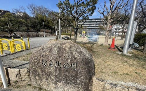 坊主池公園の画像