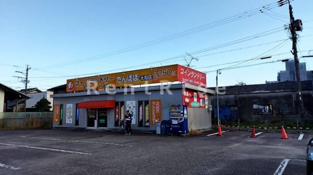 コインランドリーたんぽぽ大和店の画像