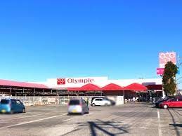 Olympic(オリンピック) 柏花野井店の画像