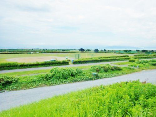 富士川緑地公園の画像