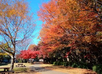 小宮公園の画像