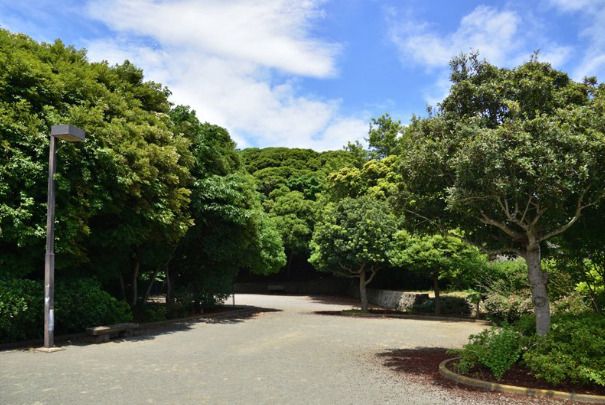 長沢公園の画像