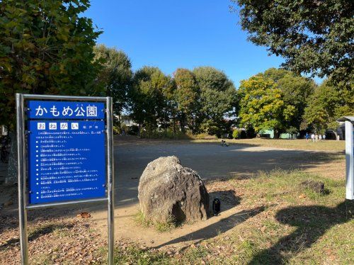 かもめ公園の画像