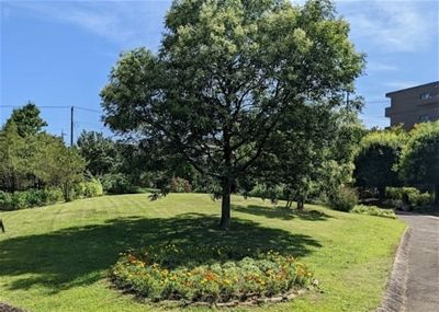 東松戸ゆいの花公園の画像