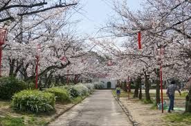 牧野公園の画像