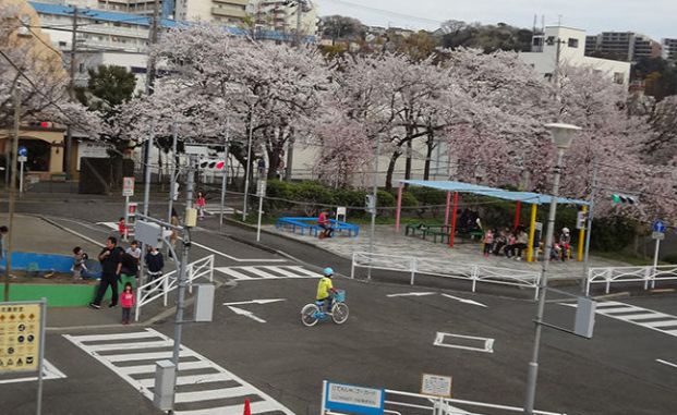 横須賀市 根岸交通公園の画像