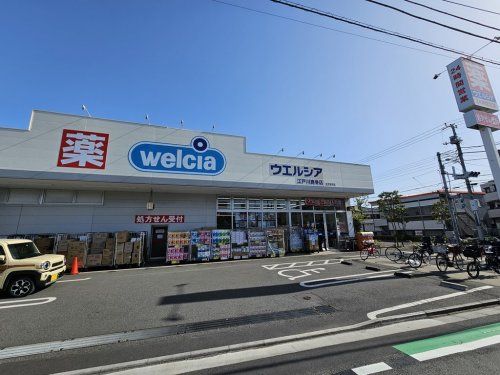 ウエルシア江戸川鹿骨店の画像