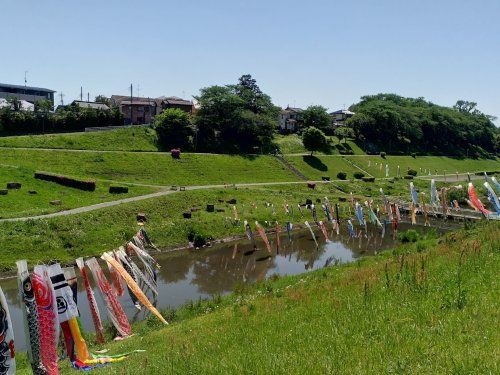 運河水辺公園の画像