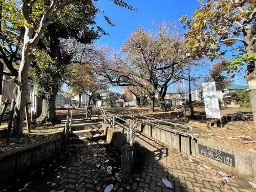 板橋区立向原公園の画像