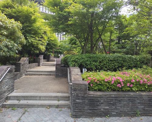 昭和大学江東豊洲病院庭園の画像