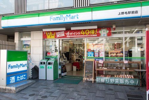 ファミリーマート 上野毛駅前店の画像