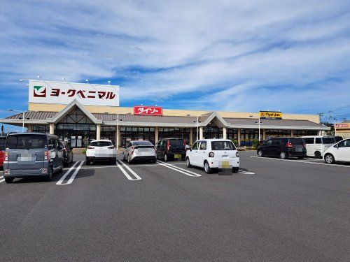 ザ・ダイソー DAISO ヨークベニマル佐和店の画像