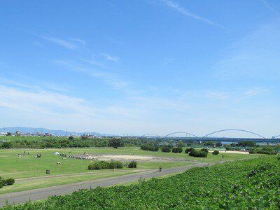 淀川河川公園 八雲地区の画像