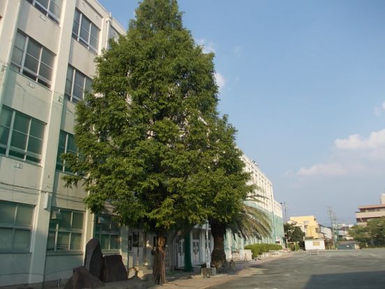 名古屋市立 野並小学校の画像