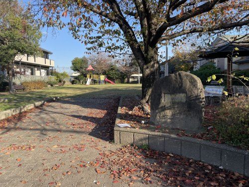 高江松ノ本公園の画像