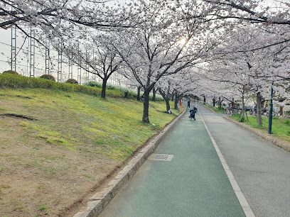 巽東緑地の画像