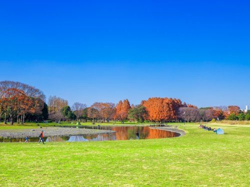 水元公園の画像