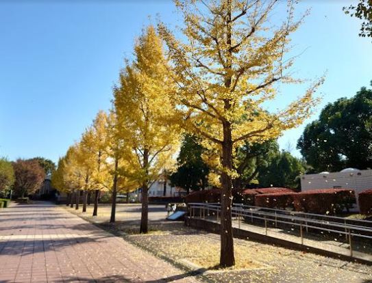 松ケ丘公園の画像