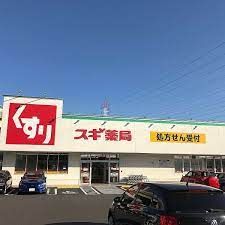 スギドラッグ 富士松店の画像